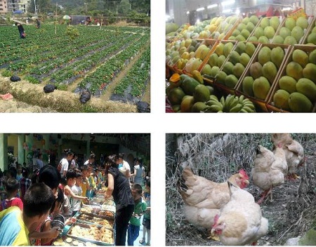 rfid食品安全防偽溯源管理系統